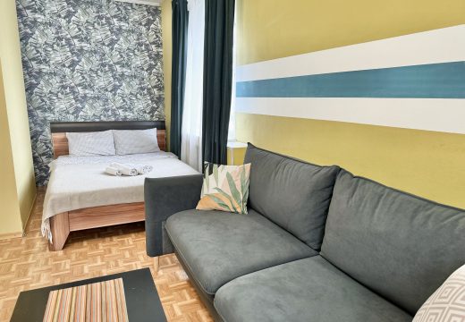 1-комнатная квартира с большой кухней на Мира, 56