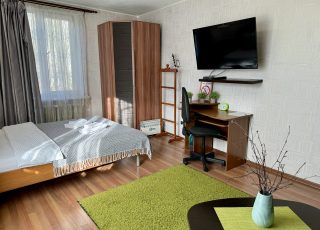1-комнатная квартира с рабочим местом на Парижской Коммуны, 50